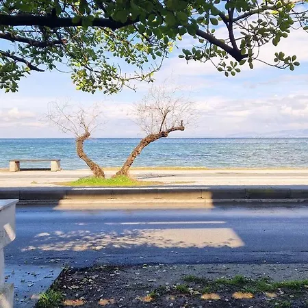 公寓 Viktoria Sea View *